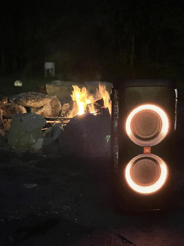 JBL Partybox 310 | Portable party speaker with dazzling