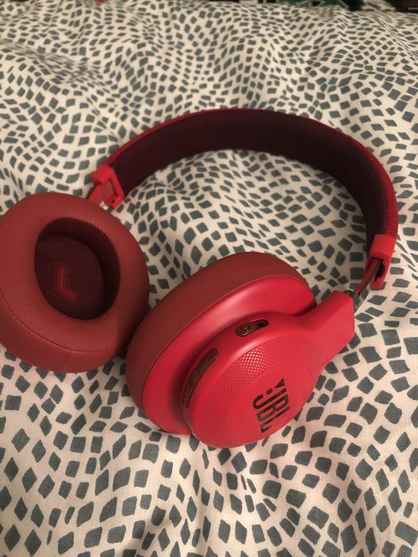 Bought 11/27/18 - Pictured 1/19/21