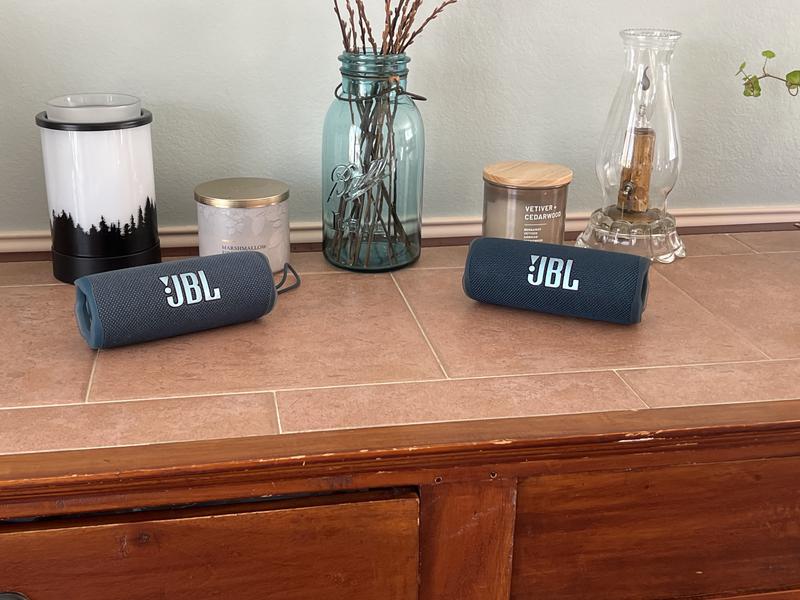 Jbl flip best sale 4 canadian tire