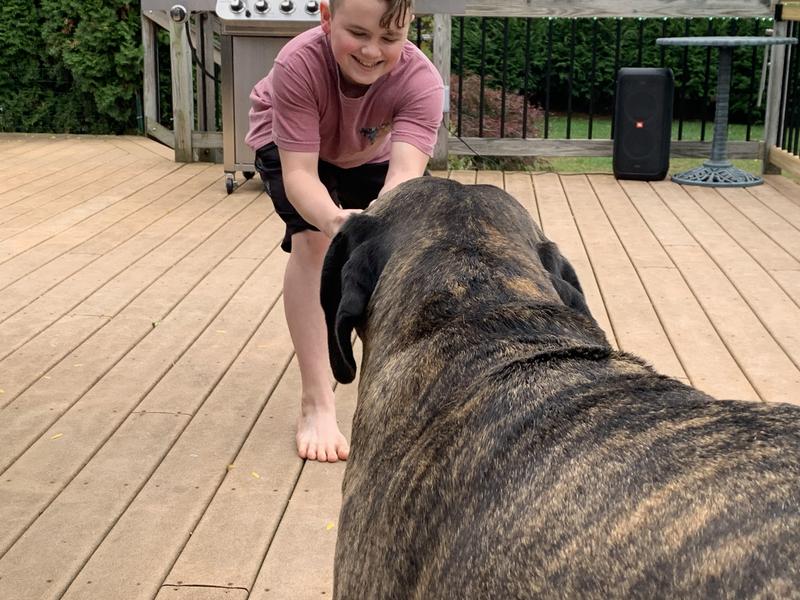 JBL sounds great on my deck.