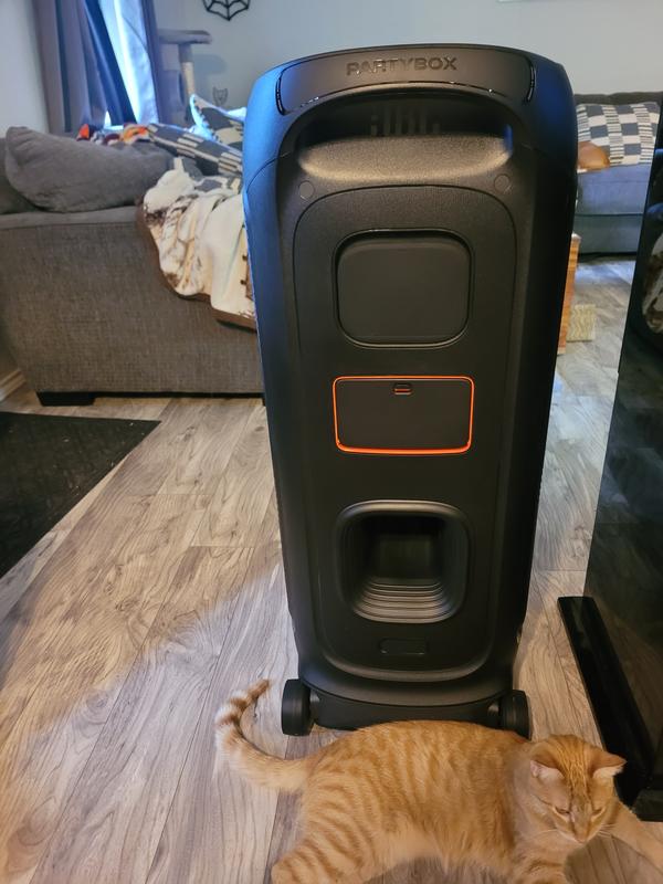 Kitty approved. It's become one of her favorite perches when it's available. Also, note the huge bass port on the back, this thing moves some air! Battery and input covers, as well, she should be able to handle a splash here and there without any trouble.