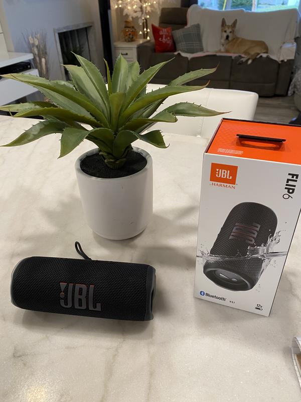 JBL Flip 6 waterproof Bluetooth speaker launched at Rs 14,999 - Times of  India