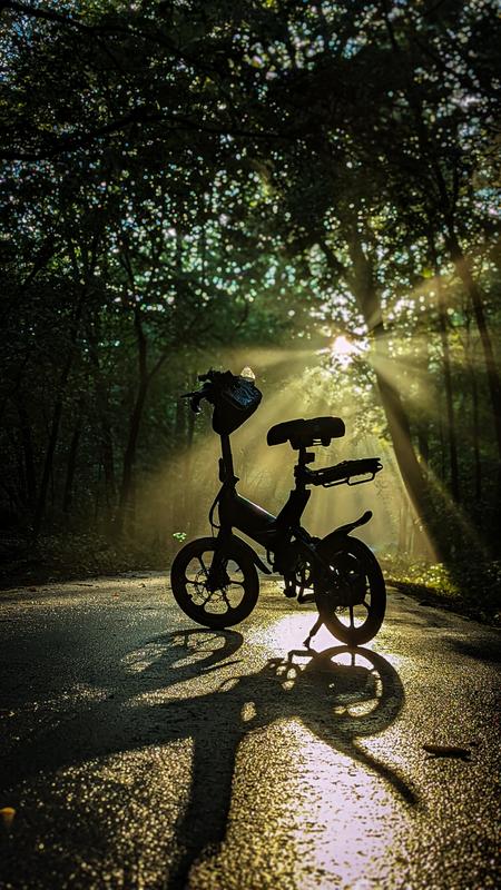 Haze Folding Electric Bike