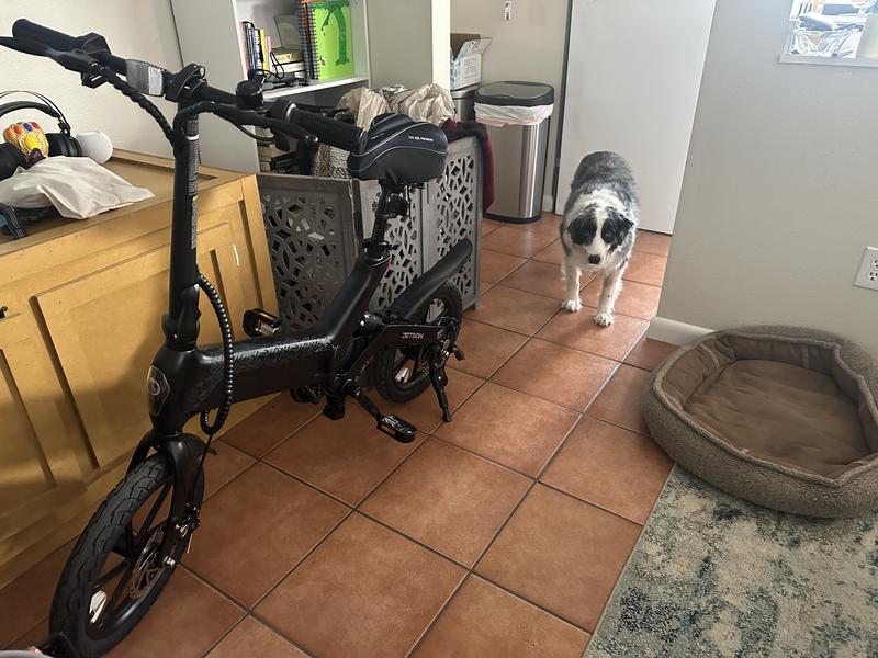 Haze Folding Electric Bike