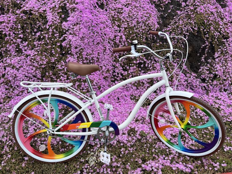 Zephyr Cruiser Bike