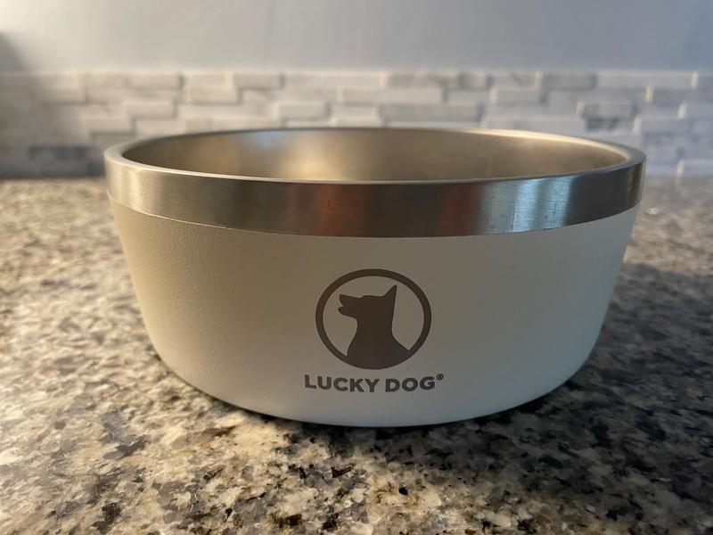 Lucky Dog Indulge Beige Double Wall Stainless Steel Dog Bowl, 12.5 Cups