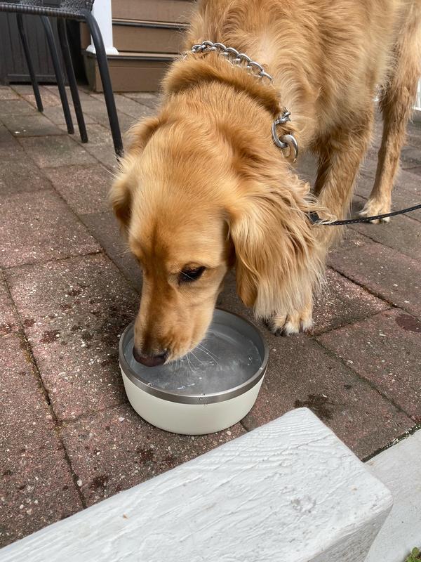 Refreshing to Drink