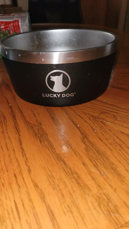 My new awesome dog food bowl