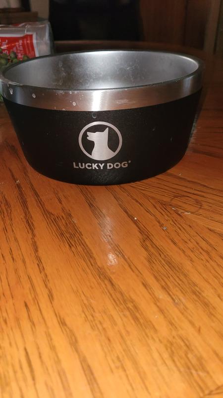 Lucky Dog Indulge Black Double Wall Stainless Steel Dog Bowl, 12.5 Cups