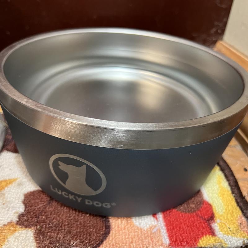 Lucky Dog Indulge Red Double Wall Stainless Steel Dog Bowl, 5 Cups