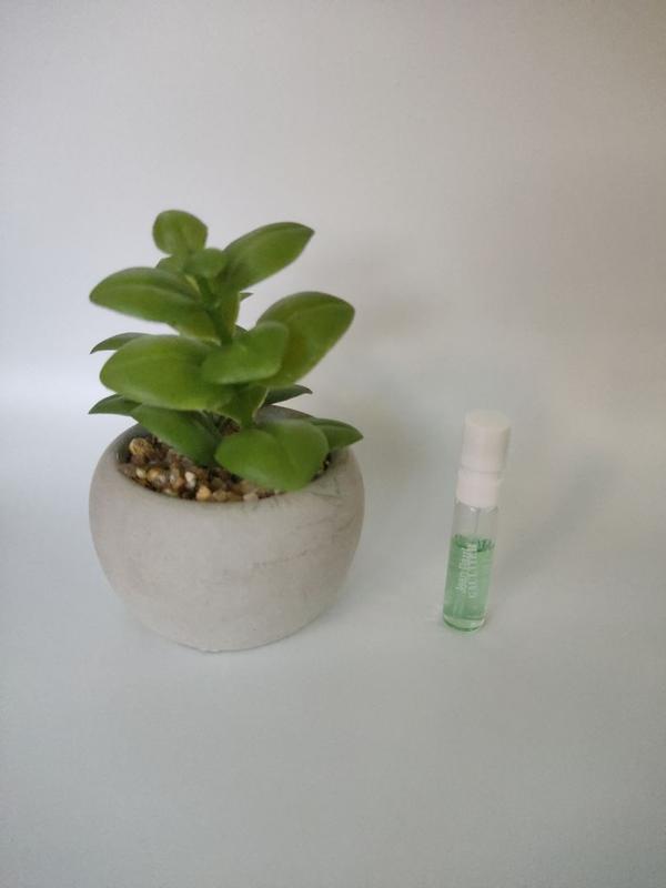 Customer photo for "An exotic, fresh green scent with a tropical vibe that lasts all day in any weather"