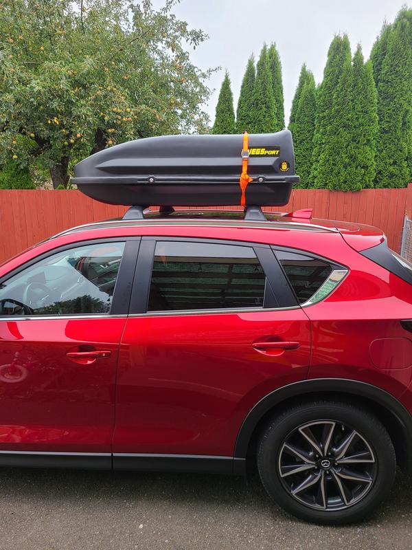 Jegs Rooftop Cargo Carrier Installed Mazdas247