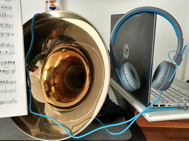 JLab wired headphones