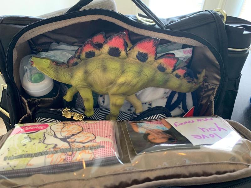 Customer photo for "Perfect diaper bag!"