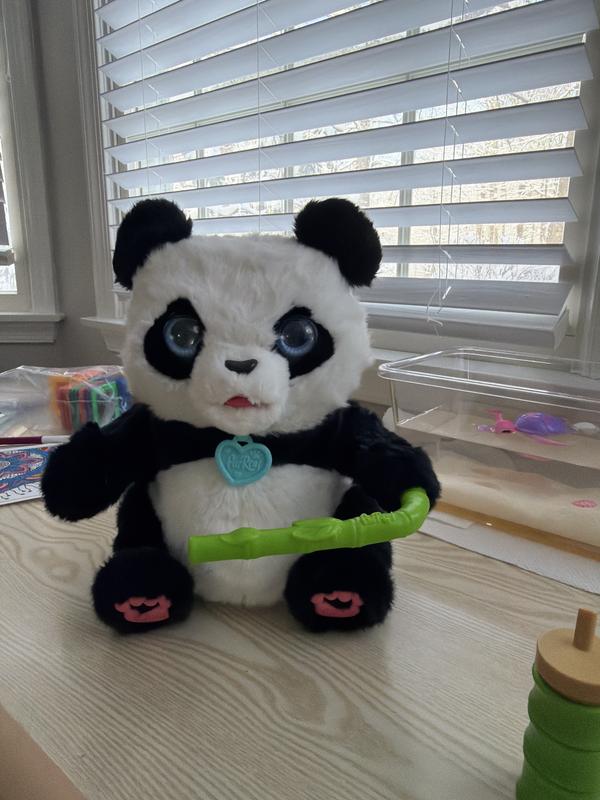 Photo - commentaire&nbsp;1.