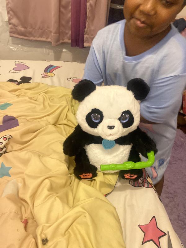 Photo - commentaire&nbsp;6.