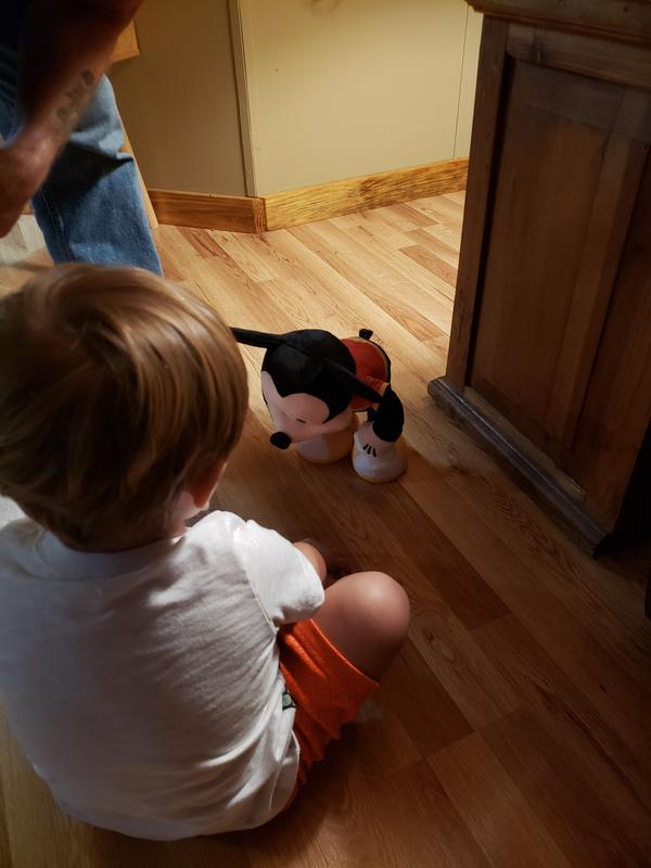 Mickey bending over