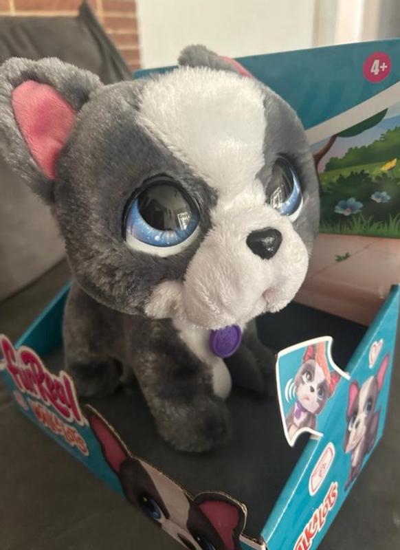 Photo - commentaire 4.