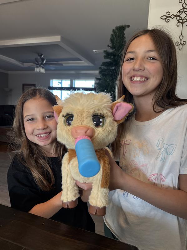 Photo - commentaire&nbsp;5.