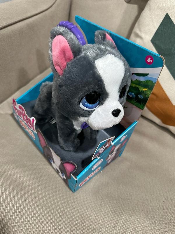 Photo - commentaire 1.