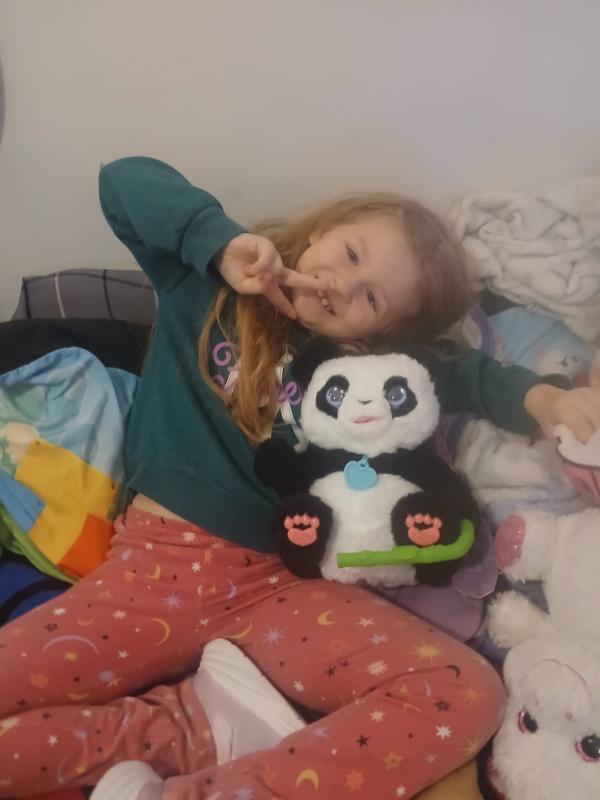 Photo - commentaire&nbsp;2.