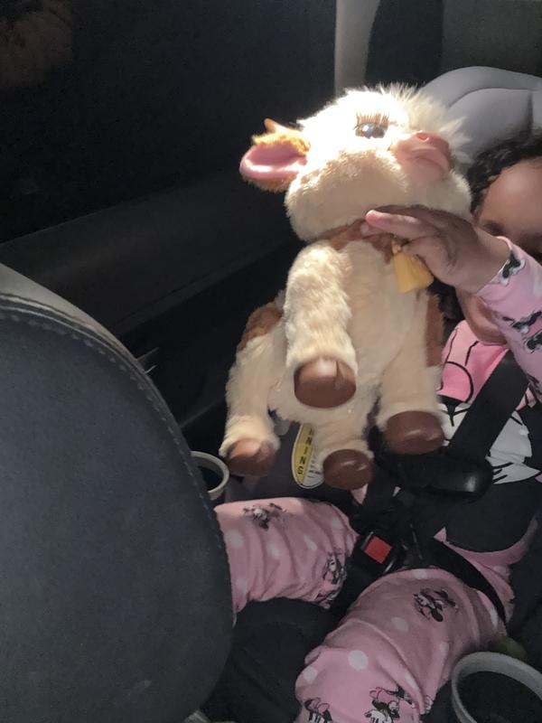 Photo - commentaire 8.