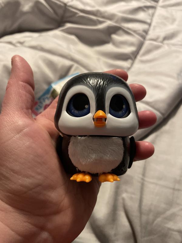 Photo - commentaire&nbsp;5.