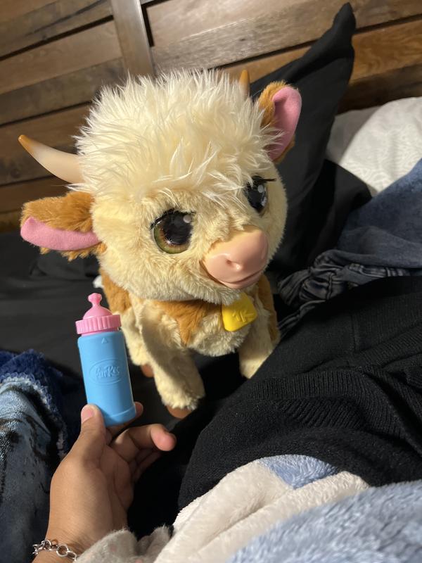 Photo - commentaire 5.