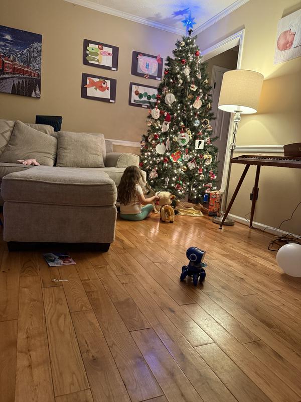 Photo - commentaire&nbsp;8.