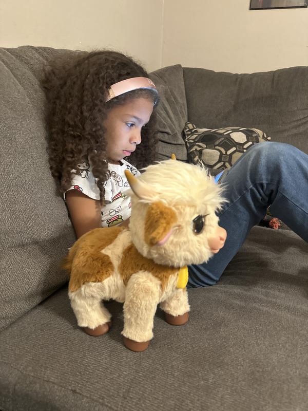 Photo - commentaire 1.