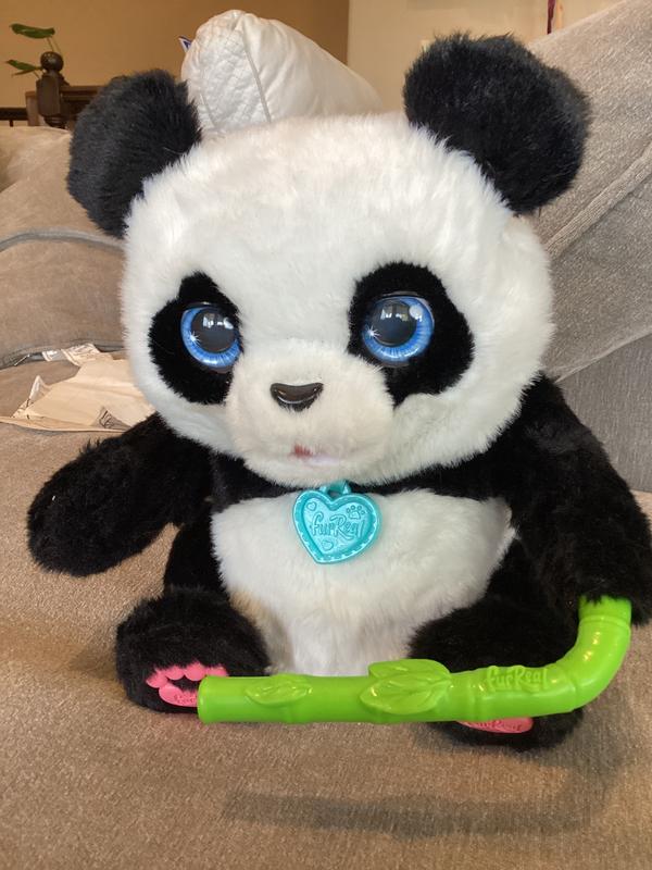 Photo - commentaire&nbsp;1.