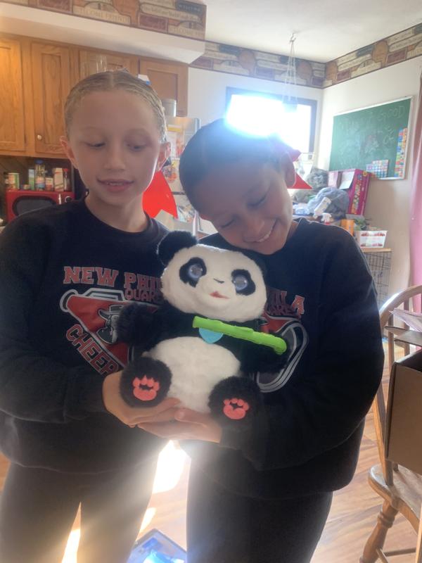 Photo - commentaire&nbsp;7.