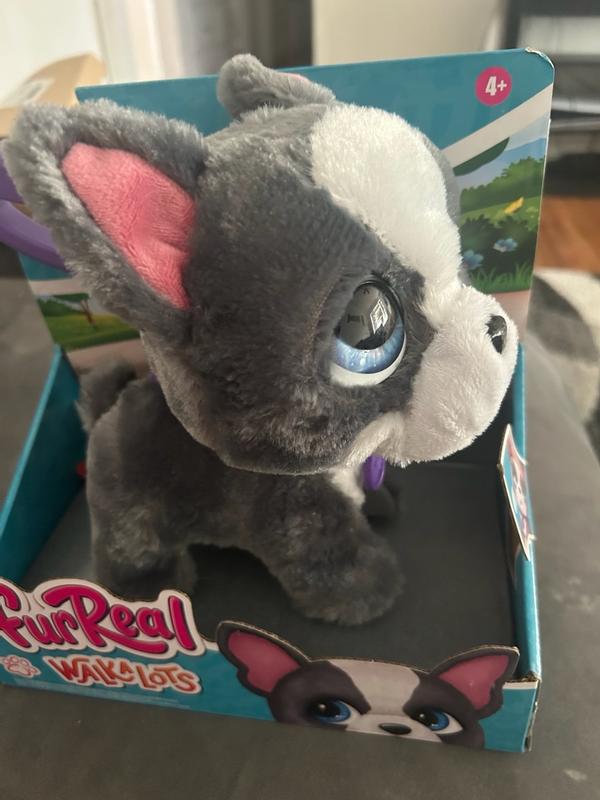 Photo - commentaire 7.