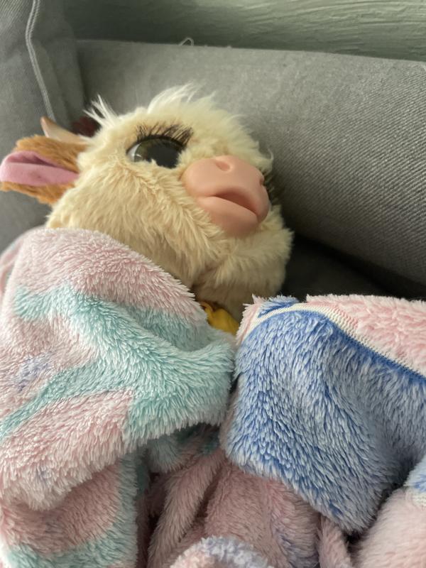 Photo - commentaire&nbsp;4.