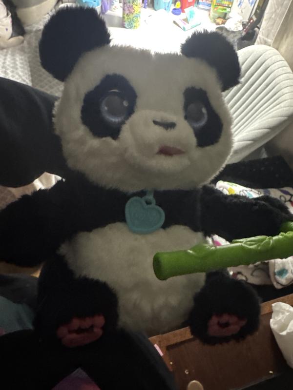 Photo - commentaire&nbsp;6.