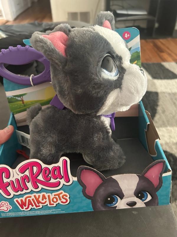 Photo - commentaire 6.