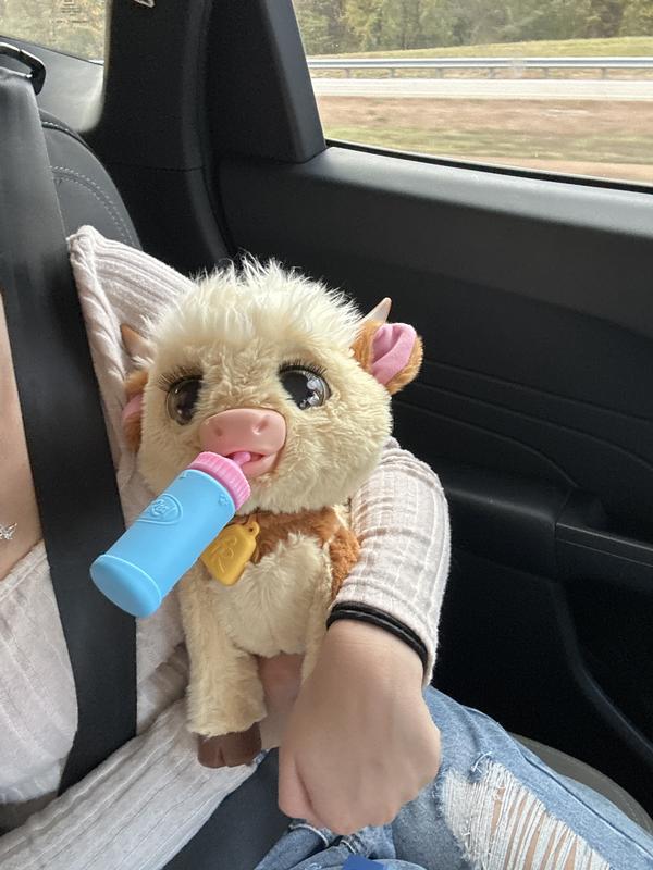 Photo - commentaire 6.