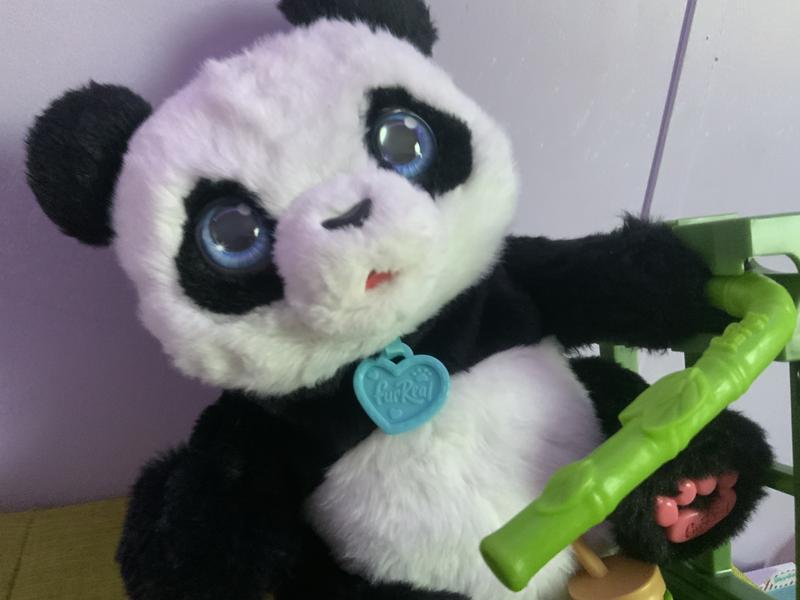 Photo - commentaire&nbsp;6.