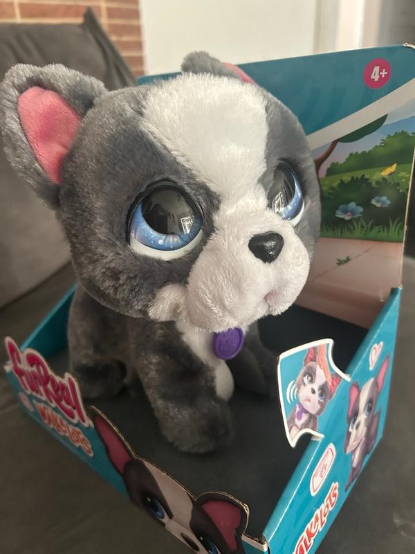 Photo - commentaire 5.