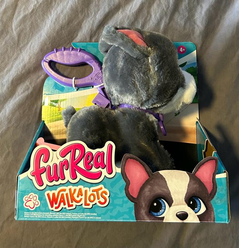 Photo - commentaire 8.