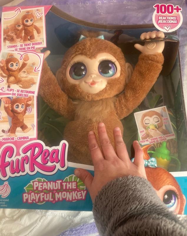 Furreal monkey clearance