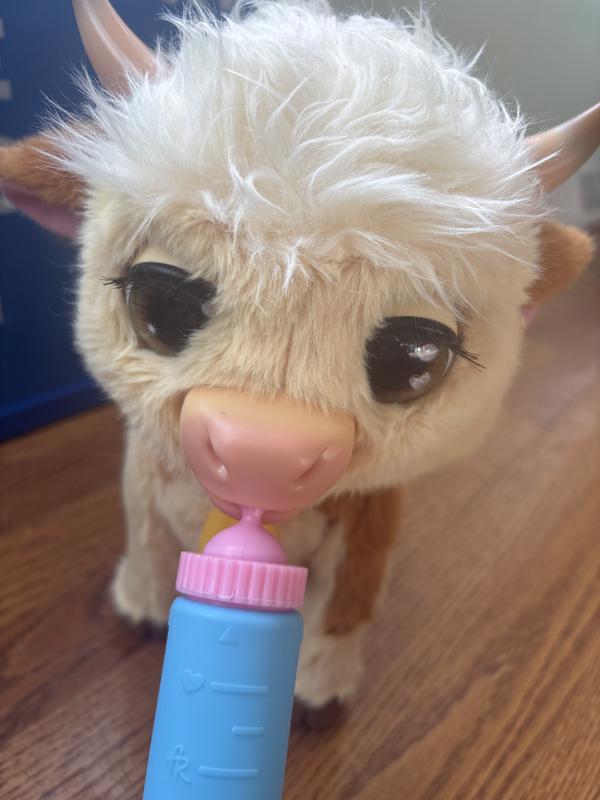 Photo - commentaire&nbsp;6.