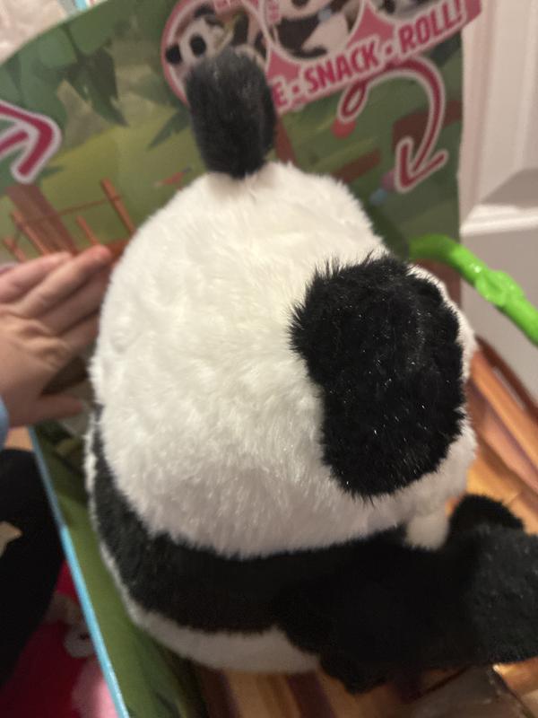 Photo - commentaire&nbsp;5.