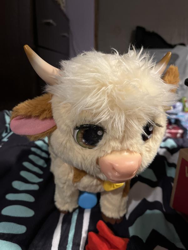 Photo - commentaire&nbsp;1.