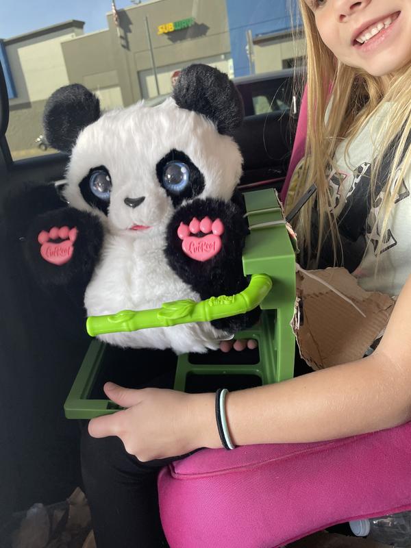 Photo - commentaire&nbsp;8.