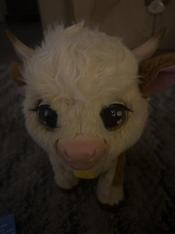 Photo - commentaire&nbsp;3.