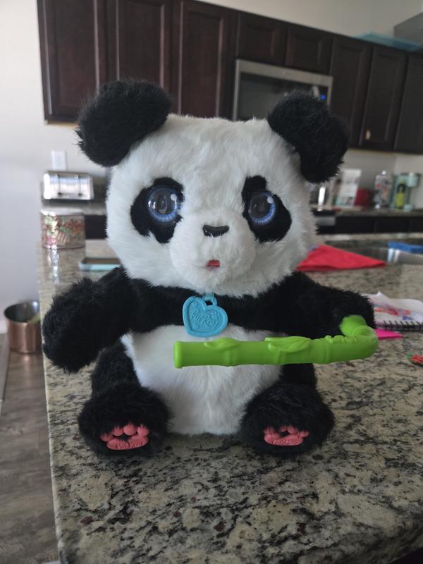 Photo - commentaire&nbsp;4.