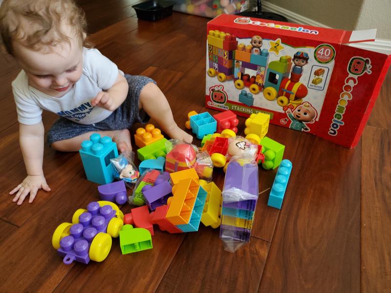 All the pieces inside the box