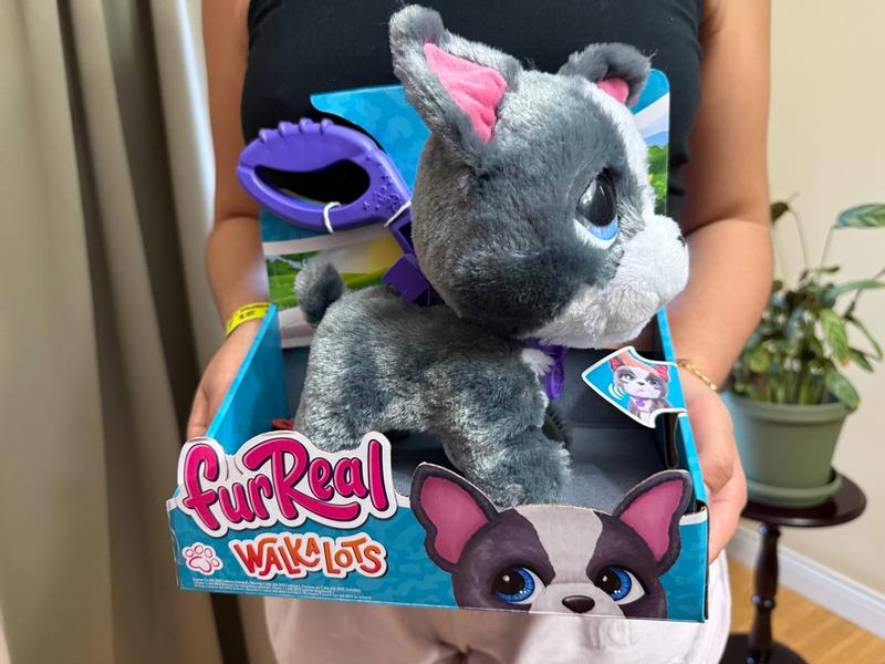 Photo - commentaire 3.