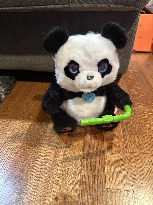 Photo - commentaire&nbsp;8.